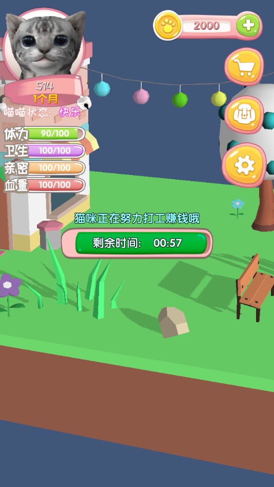 我家喵喵官方版 1.0安卓版