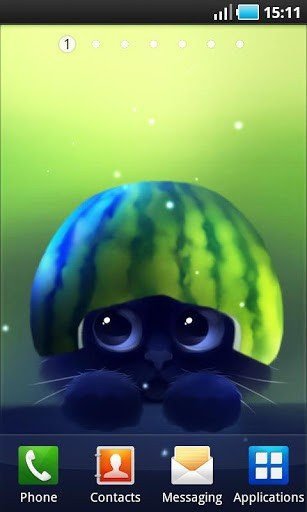 可爱猫咪高清壁纸 ios版