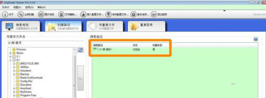 Duplicate Cleaner Pro
