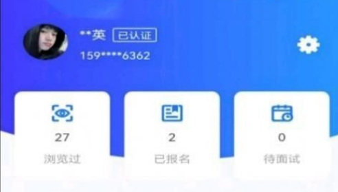 应用界面示意图