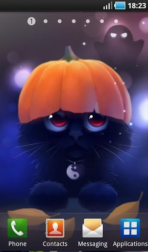可爱猫咪高清壁纸 ios版