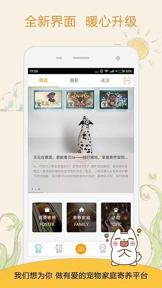 小狗在家