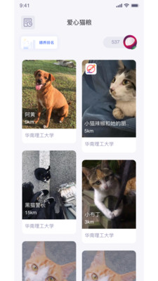 Stady学习局官方版 1.7.0安卓版