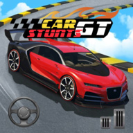 Car Stunts(赛道特技赛车3D无限货币版) 1.0.12安卓版