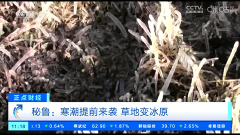 小生TV