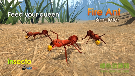 Fire Ant Simulator(火蚁模拟器官方版) 2.0安卓版