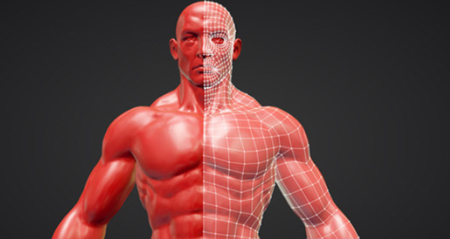 RetopoFlow