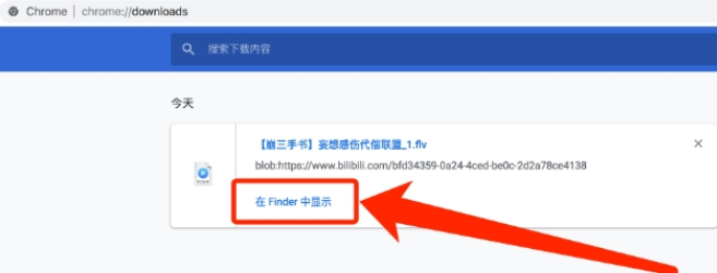 Bilibili下载助手