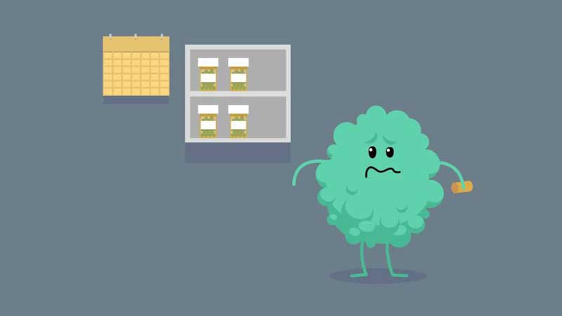 Dumb Ways(愚蠢之路大量货币版) 35.0安卓版
