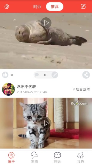 领狗狗