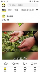 熊猫视频最新版