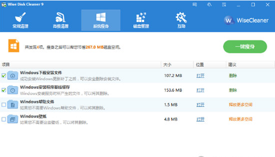 Wise Disk Cleaner(磁盘整理工具) v10.3.6.788免费版