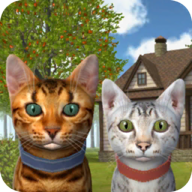 Wig Master(猫模拟器2020无限金币版) 1.09最新版