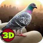 City Bird Pigeon Simulator 3D(鸽子模拟官方版) 1.0安卓版