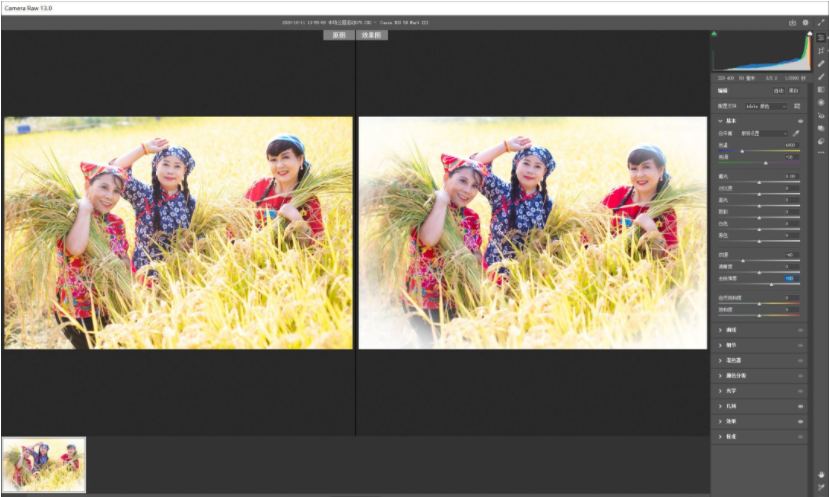 Adobe Camera Raw