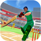 IPL Cricket League 2020 Game – T20 Cricket Games（IPL板球联盟2020官方版） 2安卓版