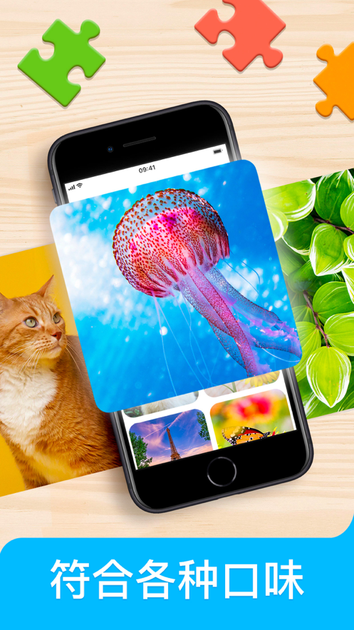 Jigsaw puzzle 游戏 ios版
