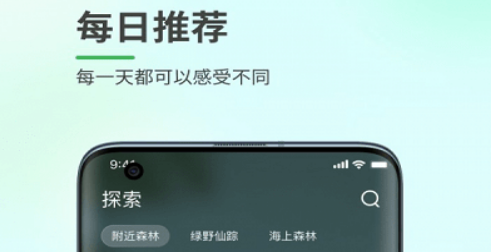 森林白噪音界面示意图