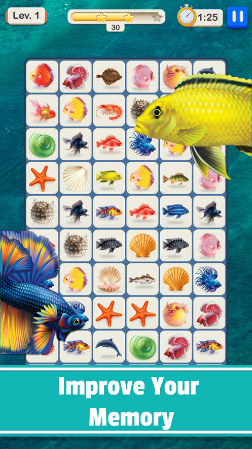 Tilescapes Connect ios版