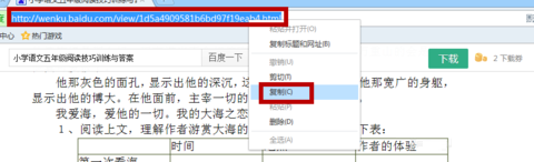 冰点文库下载器(免积分下载百度文档) v3.2.14免费版