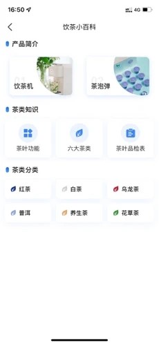 小马智泡