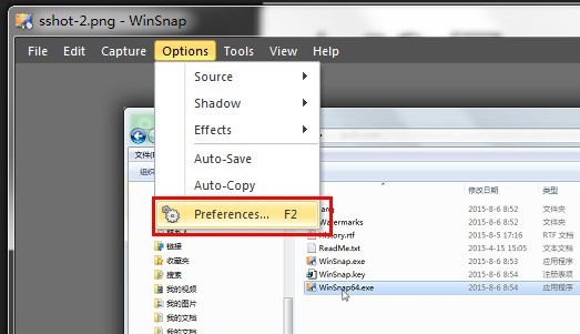 WinSnap(屏幕捕捉) v5.2.9免费版