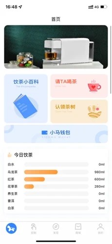 小马智泡