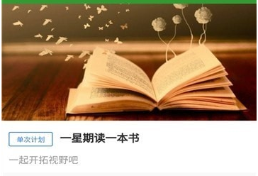 应用界面示意图