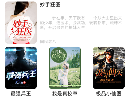 盘丝小说界面展示