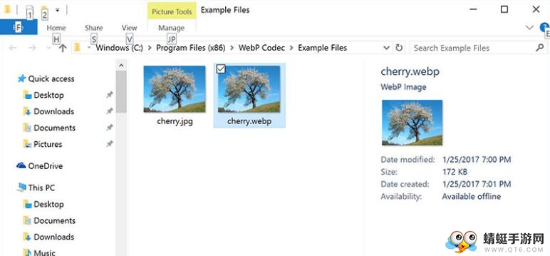 WebP Codec（WebP图片插件）官方最新版