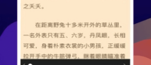 小说阅读界面示意图
