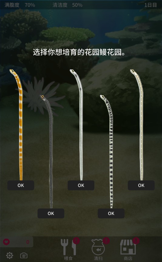 养育花园鳗的治愈游戏官方测试版 1.0.0安卓版