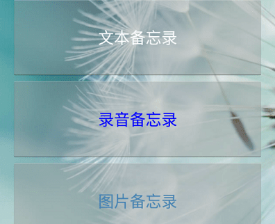应用界面示意图
