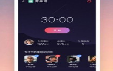 应用界面示意图