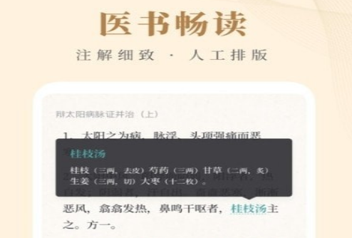 知源中医应用界面示意图