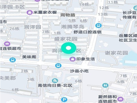 软件界面示意图