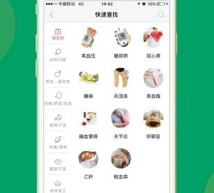 应用界面示意图