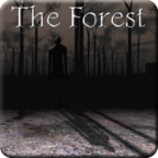 Slendrina: The Forest(兰德里纳河的森林无敌版) 1.0.3最新版