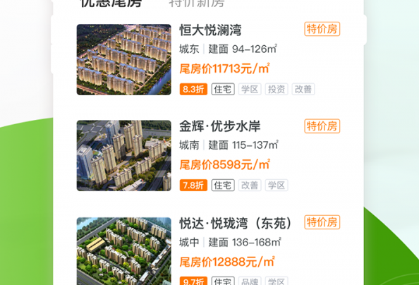 应用界面展示
