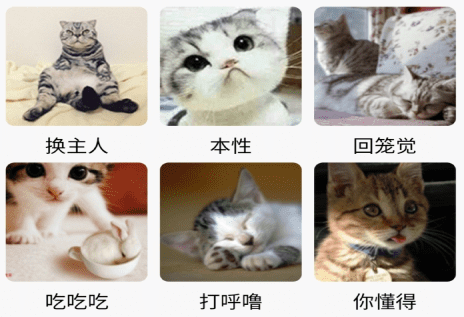 喵喵猫语翻译器界面示意图
