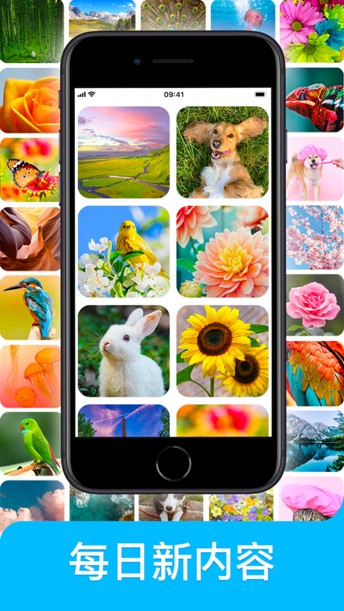 Jigsaw puzzle 游戏 ios版