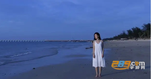 花海相机