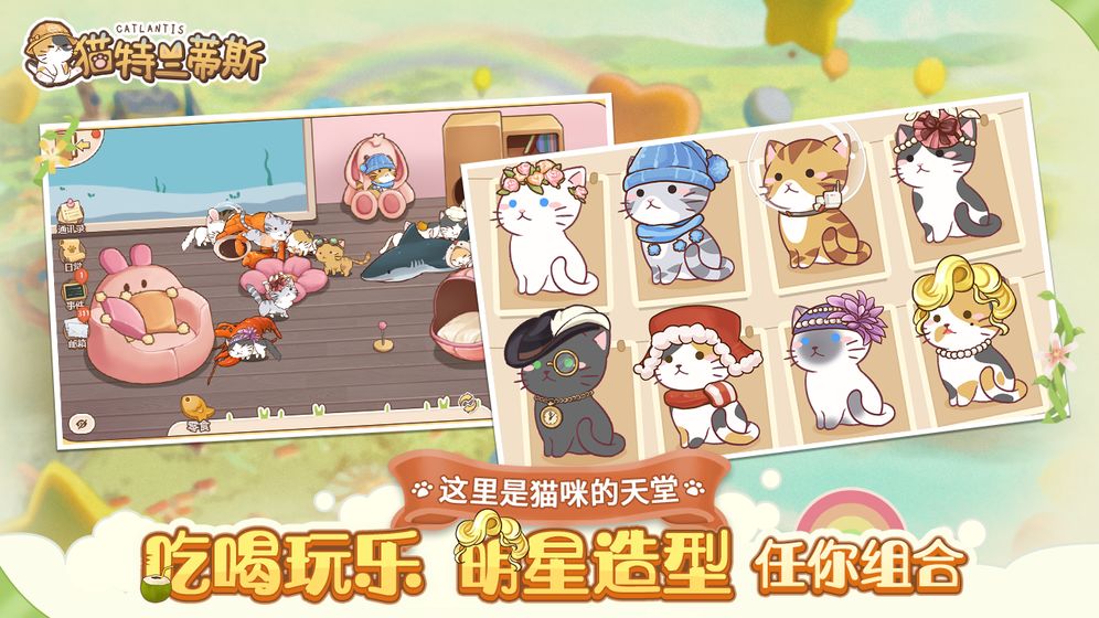 猫特兰蒂斯APP