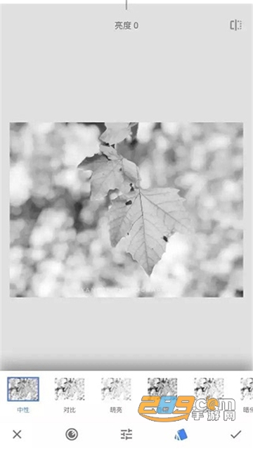 snapseed手机修图软件免费版中文版