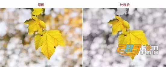 snapseed手机修图软件免费版中文版