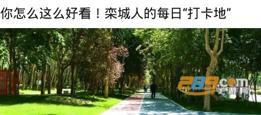冀云栾城APP官方版
