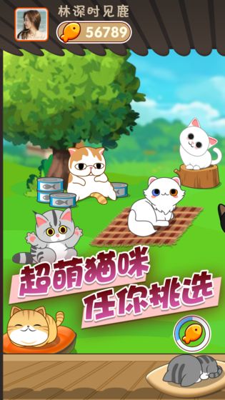梦幻猫咪APP