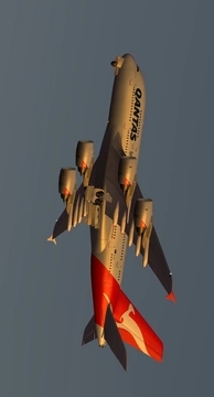 Infinite FlightAPP
