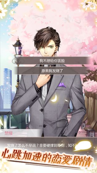 猫咪异闻APP