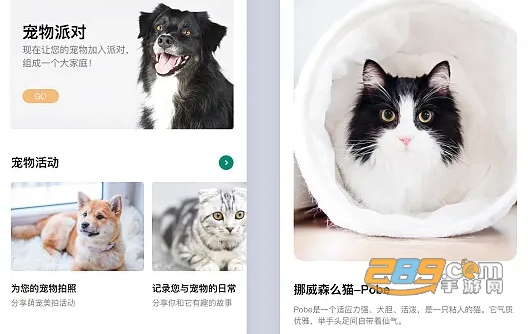 宠物小家
